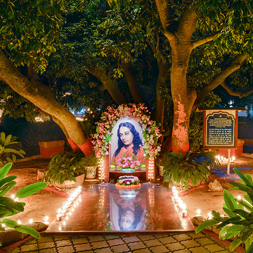YSS-Ranchi-Ashram-Litchi-Vedi-Sharad-Sangam-2016-Night.jpg