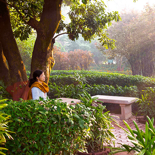 YSS-Ranchi-Ashram-Meditation-Garden-Sharad-Sangam-2015-Day.jpg