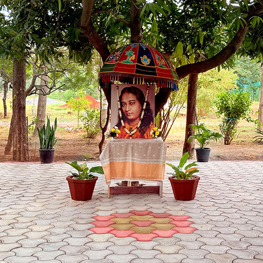 Garden Vedi