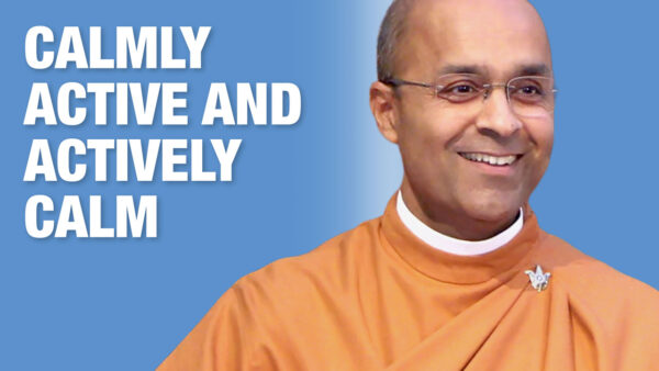 Stillness in Action: The Path of Karma Yoga by Swami Kamalananda Giri